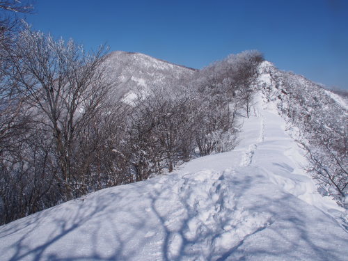 b0335256_10120741.jpg