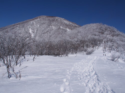 b0335256_10151007.jpg