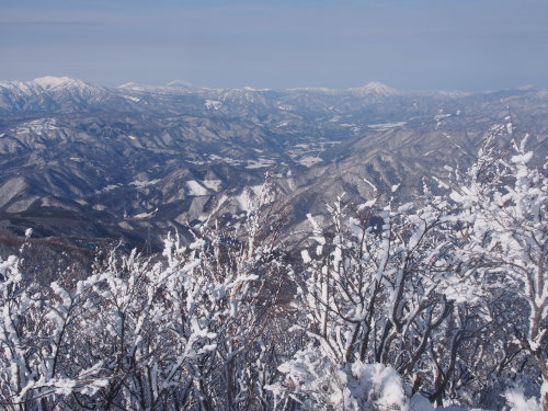 b0335256_16040173.jpg