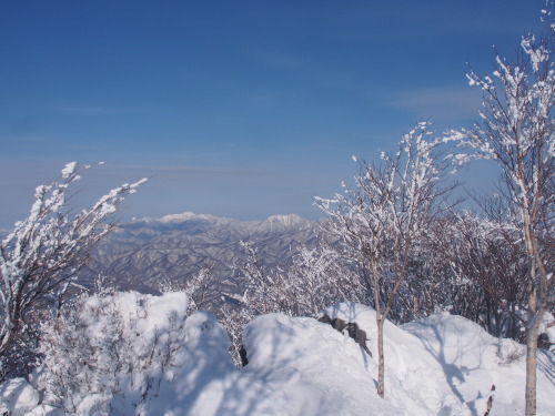 b0335256_16044641.jpg