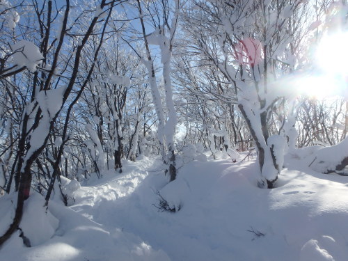 b0335256_22443540.jpg