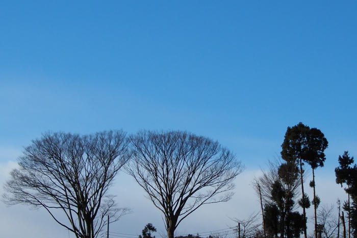 e0307372_15201044.jpg