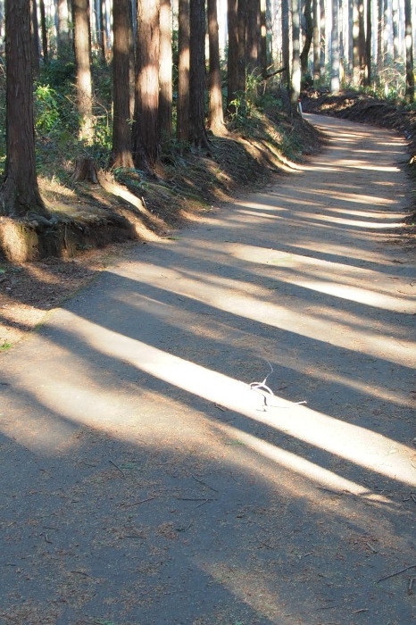 e0307372_16104116.jpg