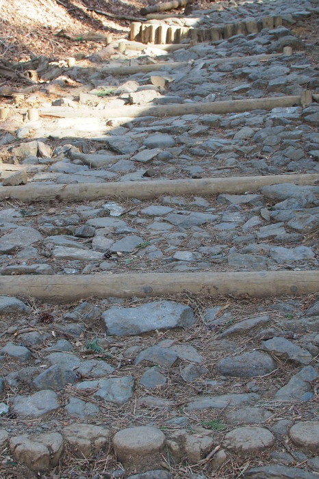 e0307372_16193880.jpg