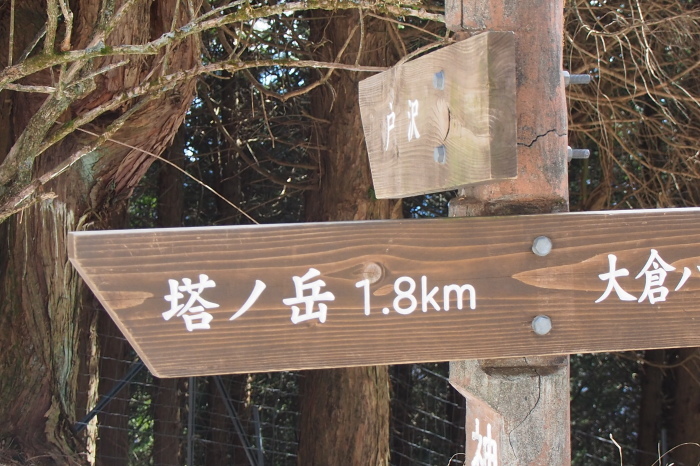 e0307372_17595240.jpg