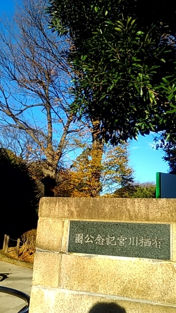 e0196473_17171099.jpg