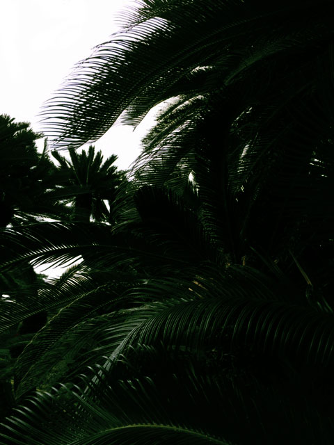 f0056476_14441373.jpg