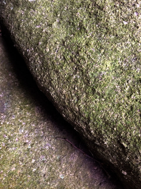 f0056476_14471136.jpg