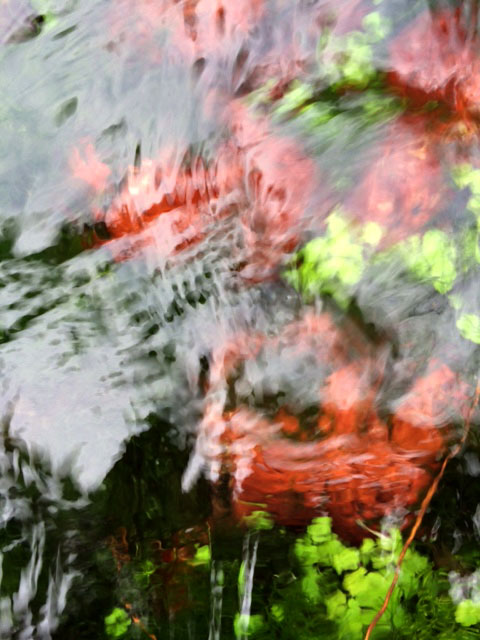 f0056476_14474963.jpg