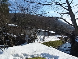 e0155085_17453068.jpg