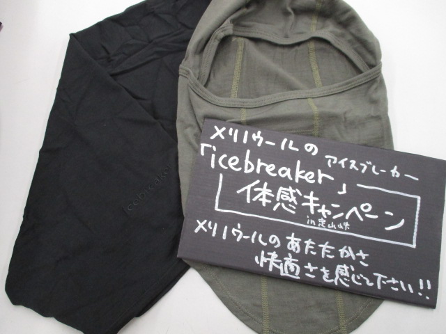 d0198793_1619563.jpg
