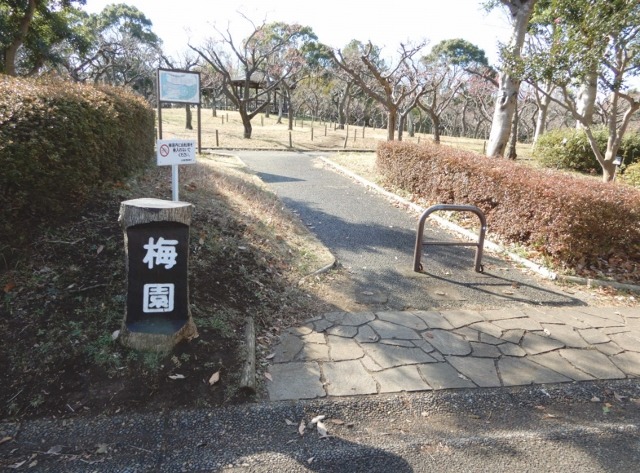 e0025300_22534924.jpg