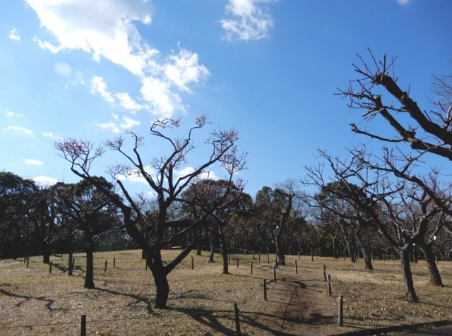 e0025300_22563229.jpg