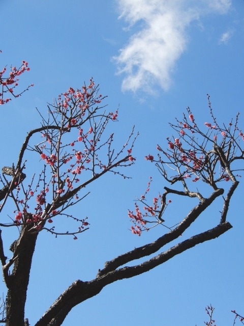 e0025300_2257225.jpg