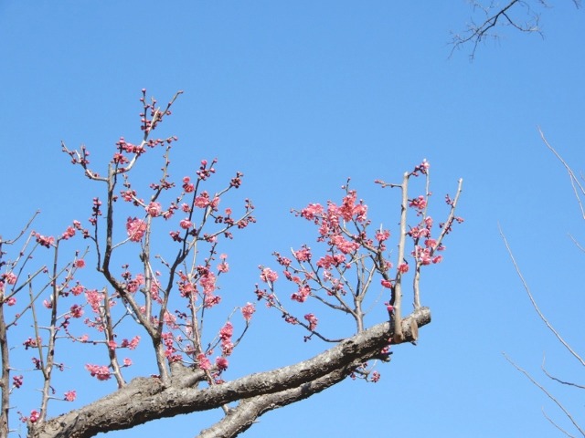 e0025300_22592219.jpg