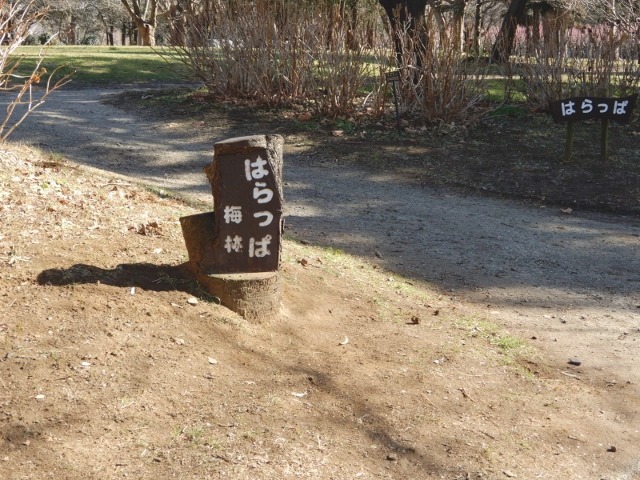 e0025300_230431.jpg