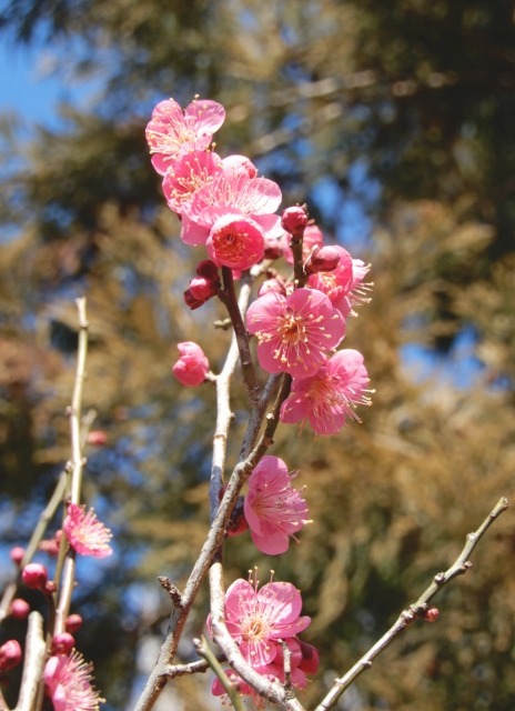 e0025300_23114462.jpg