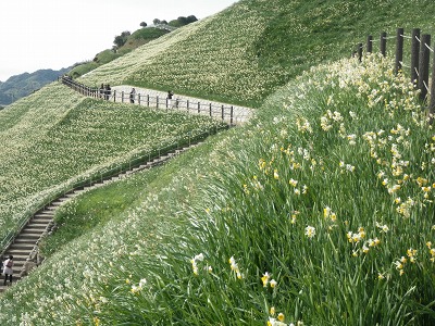 f0187402_1842365.jpg