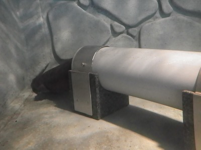 f0187402_18442092.jpg