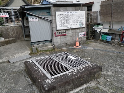 f0187402_18444168.jpg