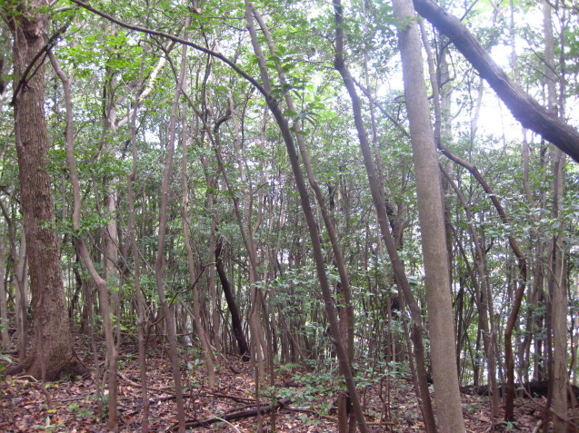 c0352015_22175448.jpg