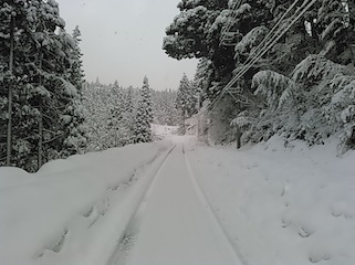 c0359615_18305971.jpg