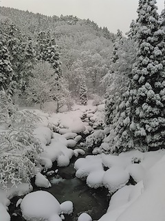 c0359615_18311057.jpg