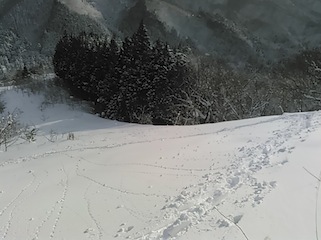 c0359615_18314232.jpg