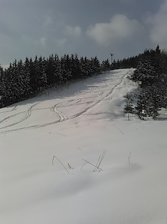 c0359615_18331899.jpg