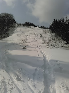 c0359615_18335001.jpg