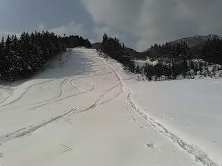 c0359615_18340085.jpg