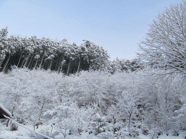 f0341616_14433969.jpg