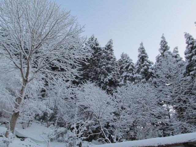 f0341616_14460433.jpg