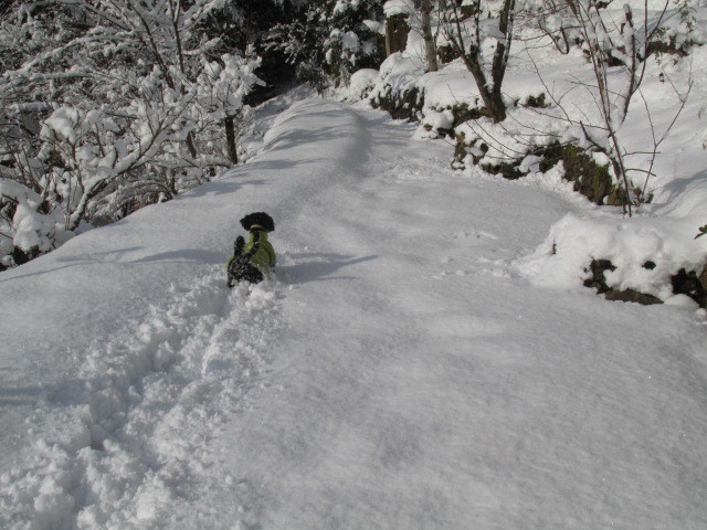 f0341616_14532880.jpg
