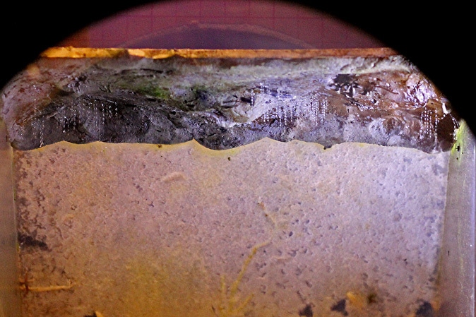 b0355317_20335162.jpg