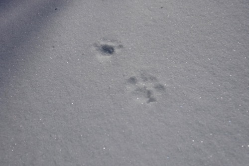 e0192217_09391104.jpg