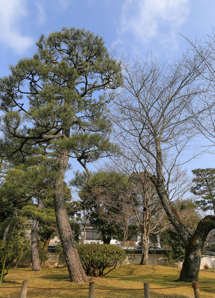 f0363618_22475334.jpg