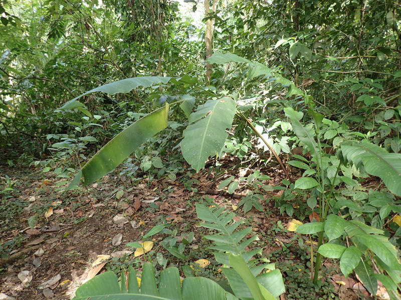 e0189021_18125854.jpg