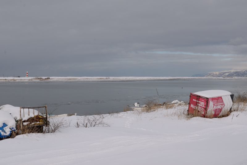 f0229527_10322020.jpg