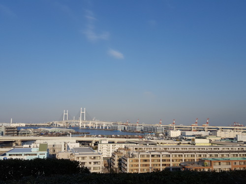 e0016828_10553246.jpg
