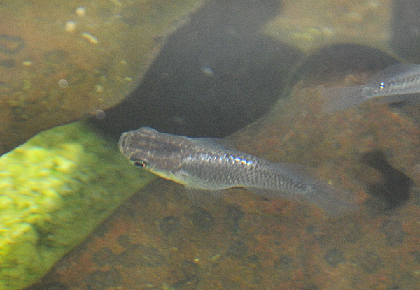 e0097534_17483056.jpg