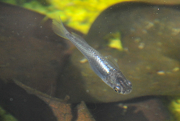 e0097534_17541149.jpg