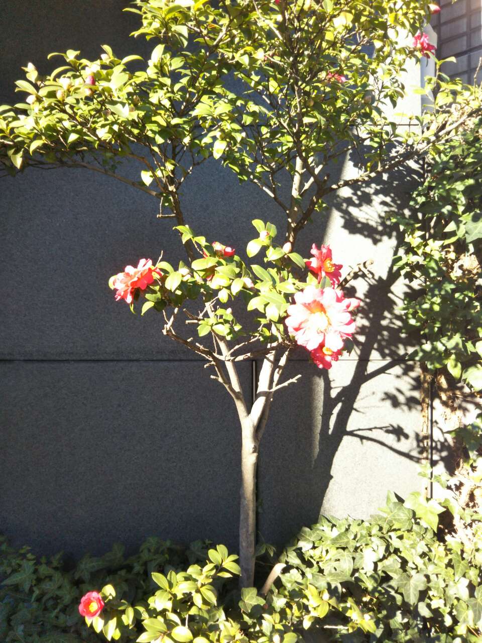 b0031140_1931353.jpg