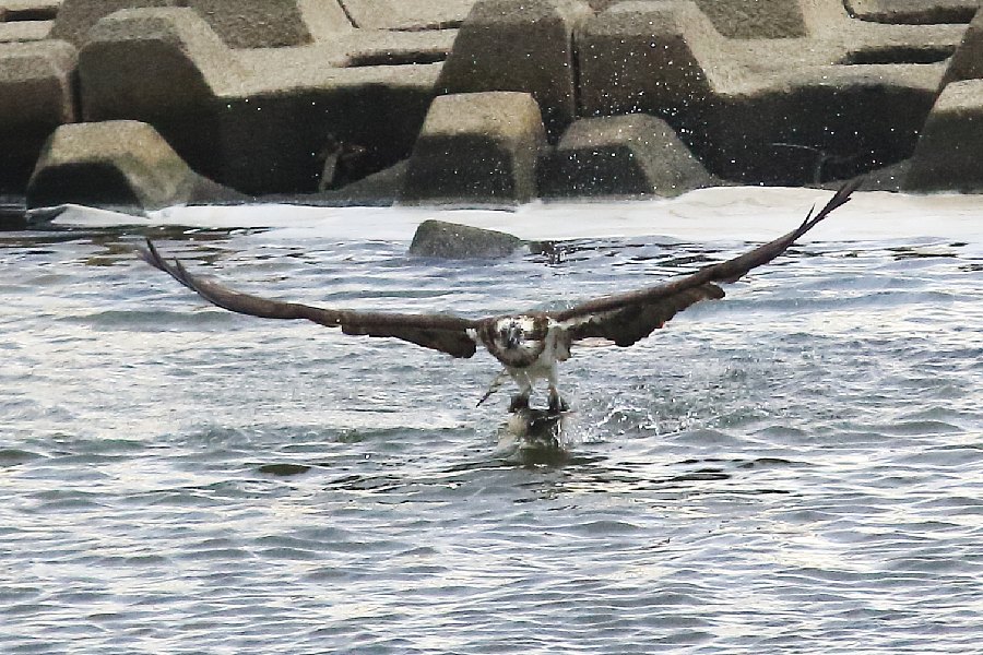 e0077041_18572015.jpg