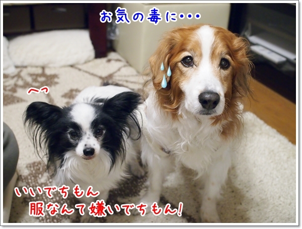 d0013149_00174204.jpg