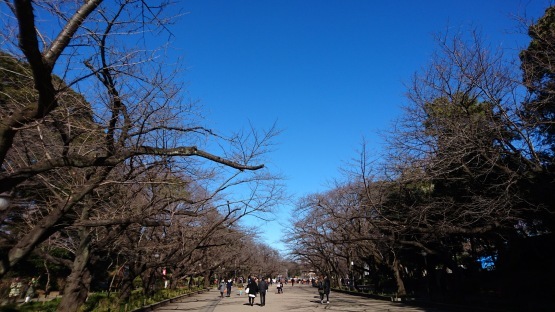 d0347253_19413883.jpg