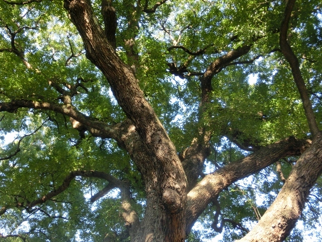 c0328559_16554981.jpg
