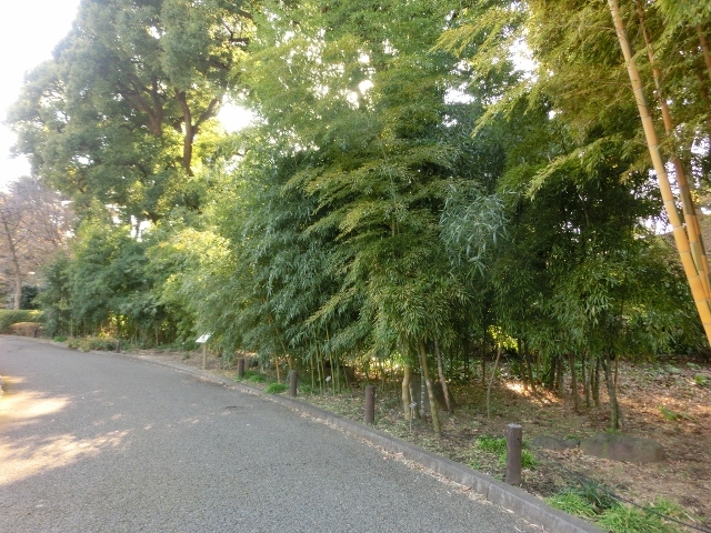 c0328559_16562939.jpg