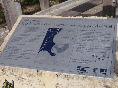 c0351060_23283877.jpg