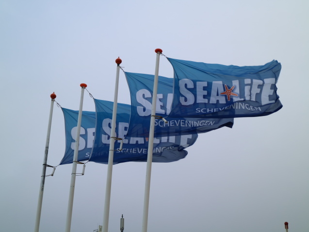 f0345263_20144447.jpg